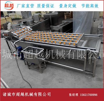 全自動果蔬氣泡清洗機(jī)專業(yè)廠家 諸城超越機(jī)械
