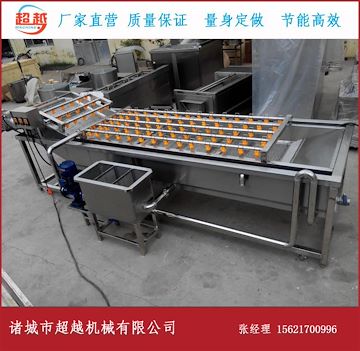 專業(yè)全自動果蔬高壓氣泡清洗機(jī)廠家 加工定制